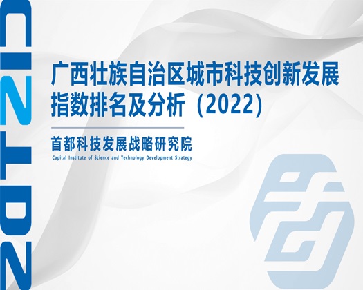 超大鸡巴干超小嫩逼视频【成果发布】广西壮族自治区城市科技创新发展指数排名及分析（2022）